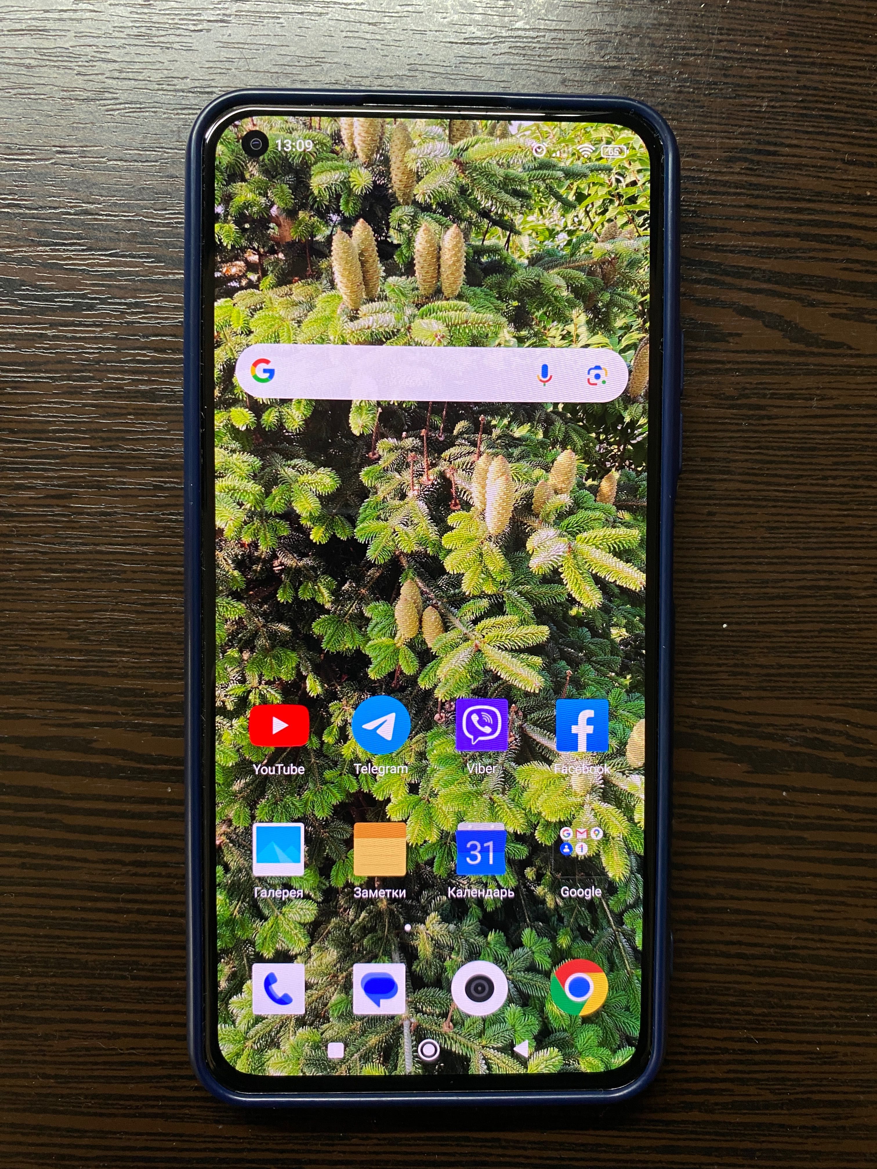 Xiaomi Mi 11 Lite