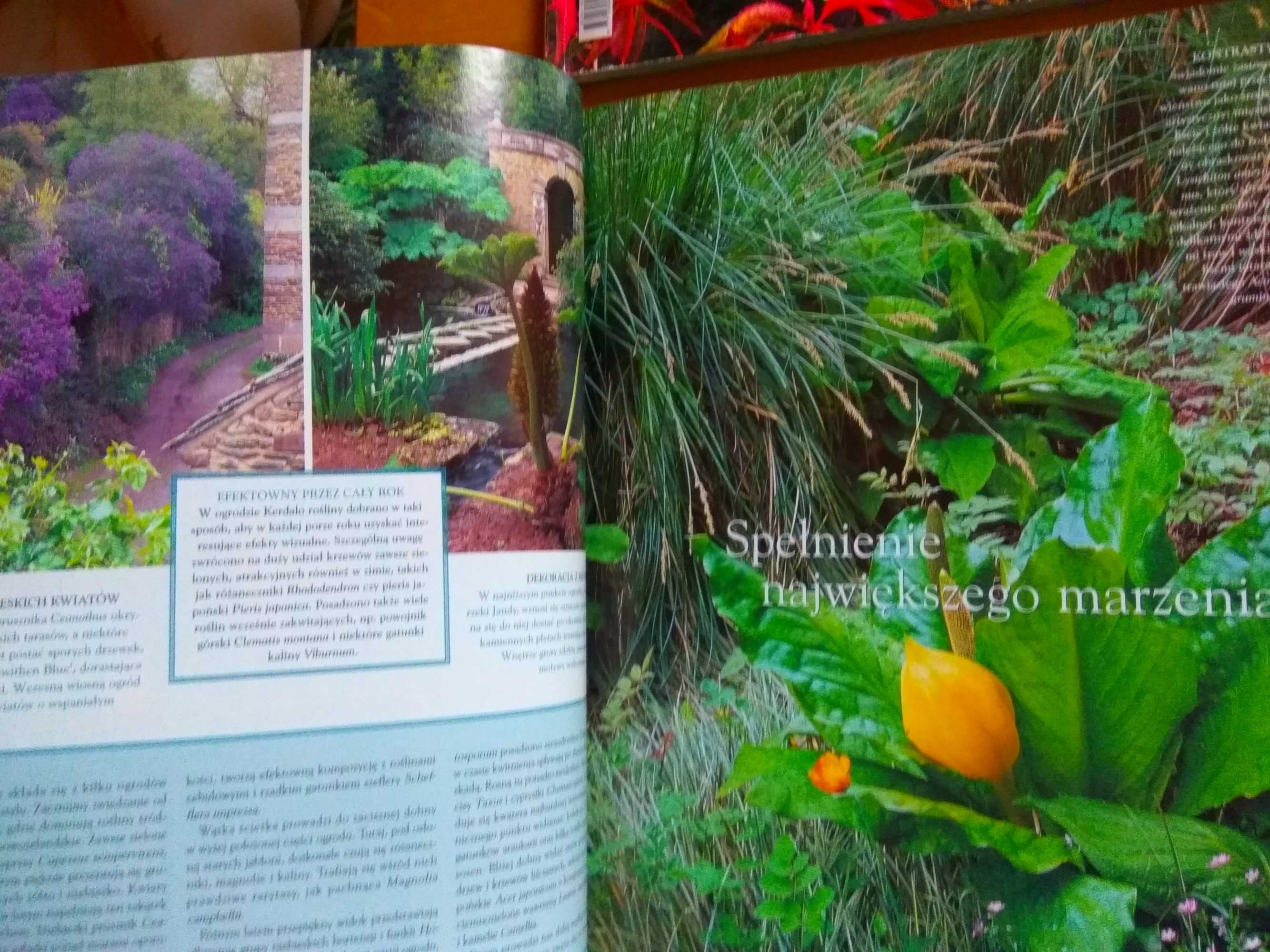 Mój piękny ogród magazyny archiwalnne