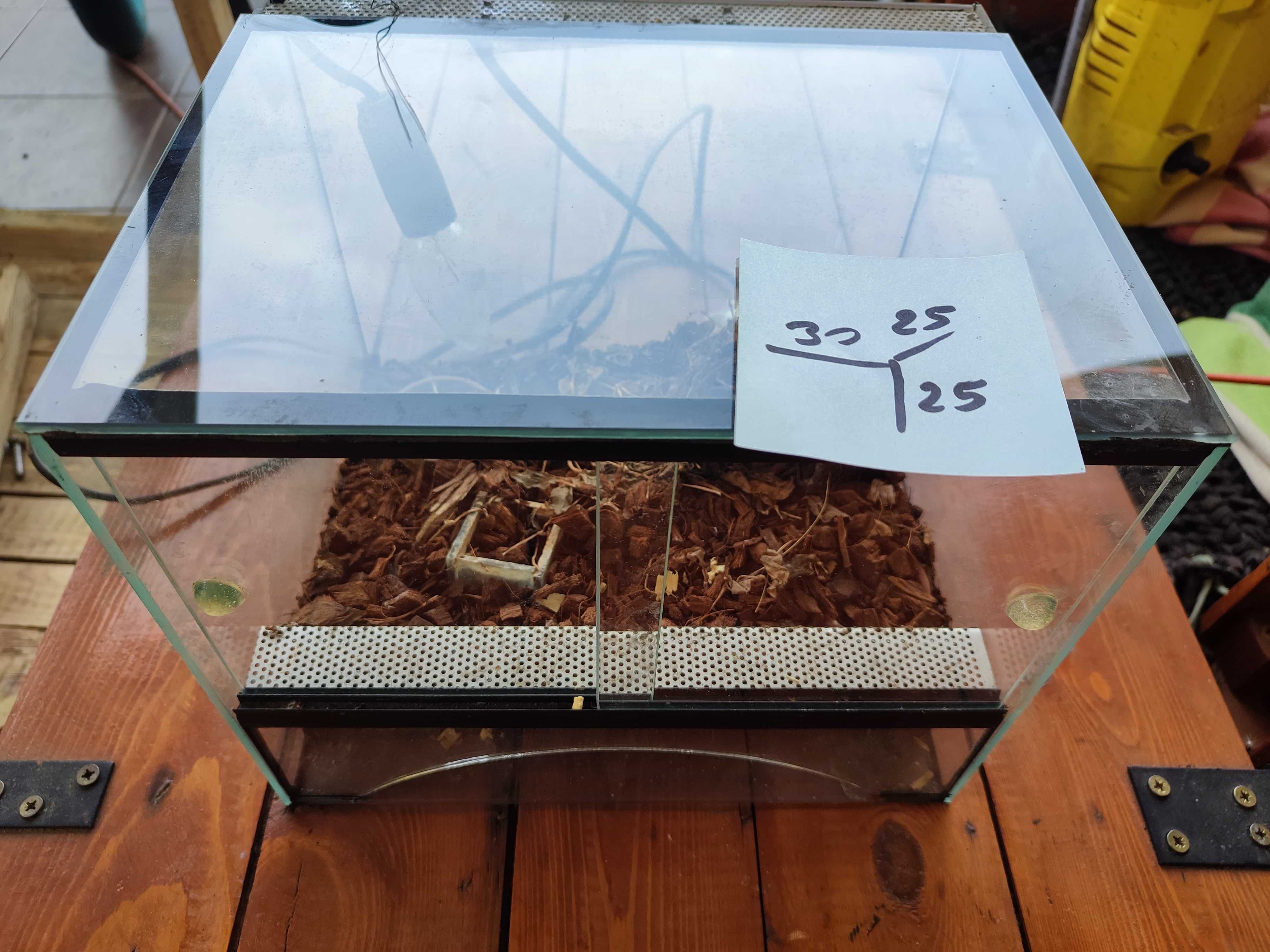 Terrarium 30x25x25