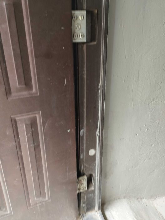 Двері вхідні металеві для підїзду