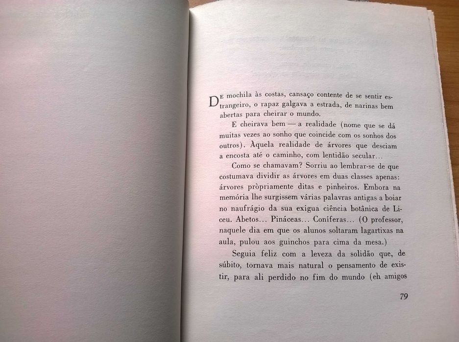 Tempo Escandinavo (1.ª ed.) - José Gomes Ferreira