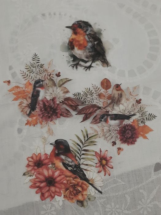 15 stickers pássaros selvagens, autocolantes scrapbooking.