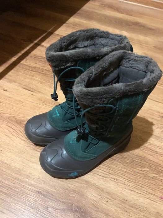 Чоботи дитячі the north face