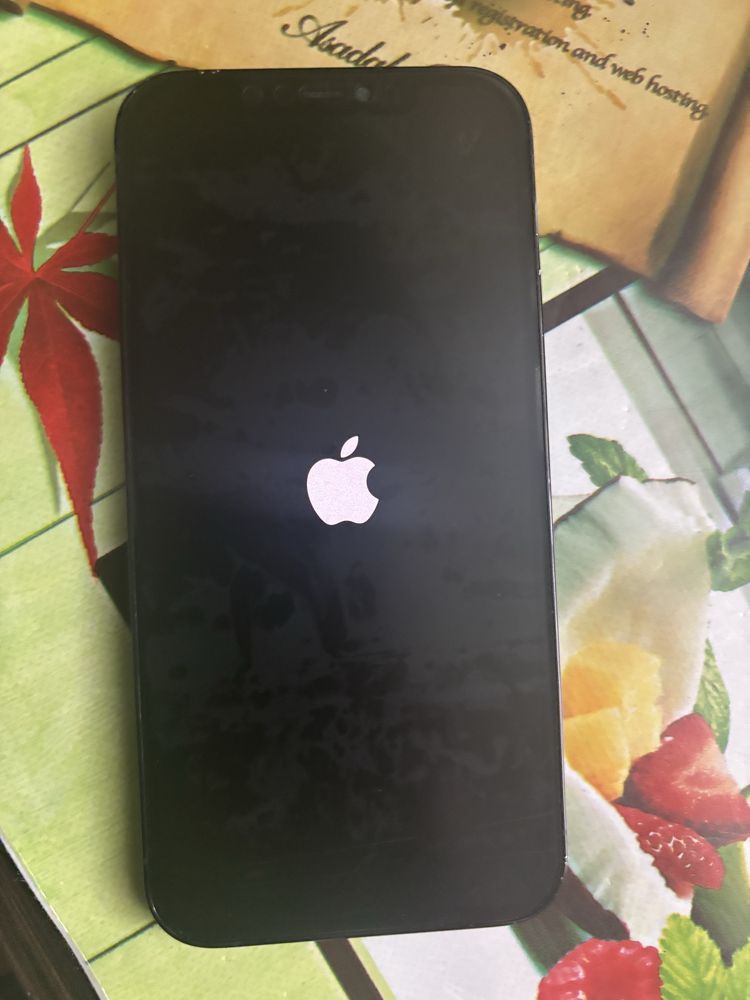 Iphon 12 pro max