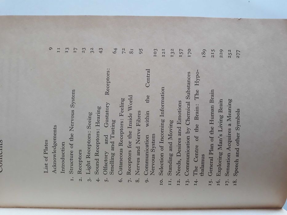 Neurologia Dwie książki medyczne o Systemie nerwowym Angielskie