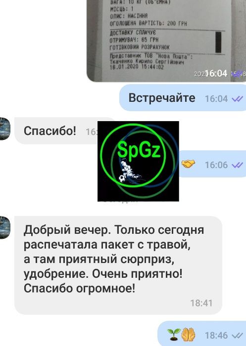 Газон семена Спорт MINI самая низкая изумрудная крепкая трава газонная