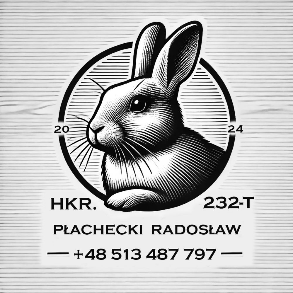 Nowozelandzki czerwony samica samiec rodowód