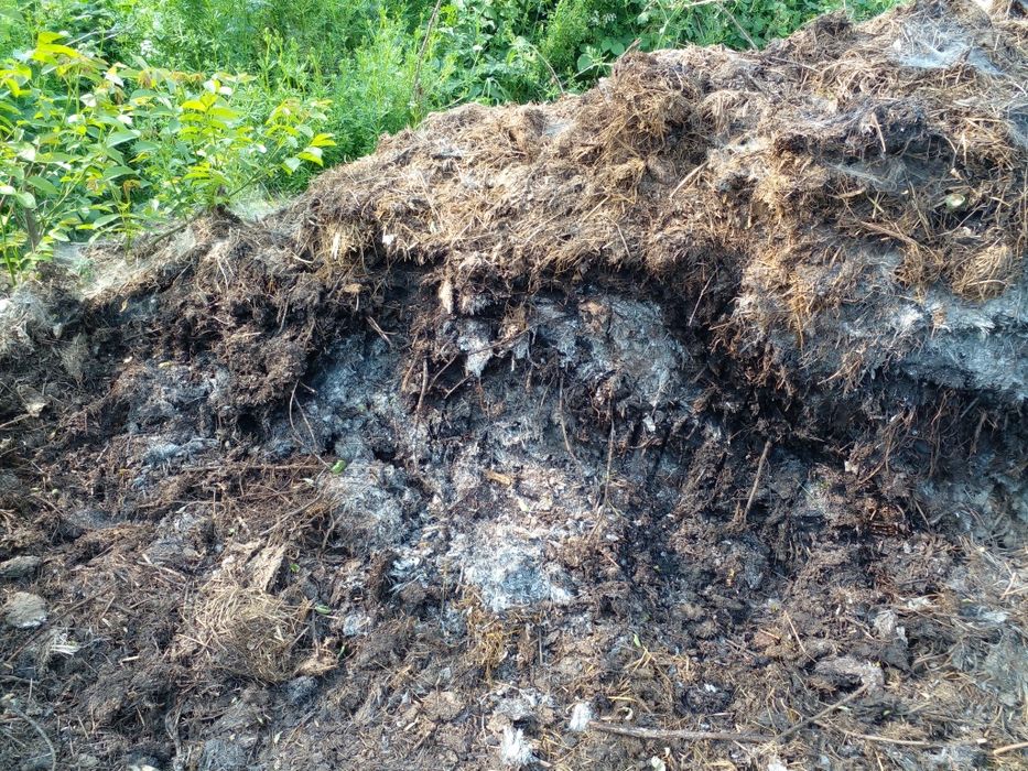 Перегній, Козиний навоз, удобрение,, Добриво, Перегной, мульча, биогу