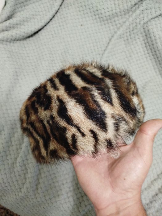 Капелюх з натурального леопарда