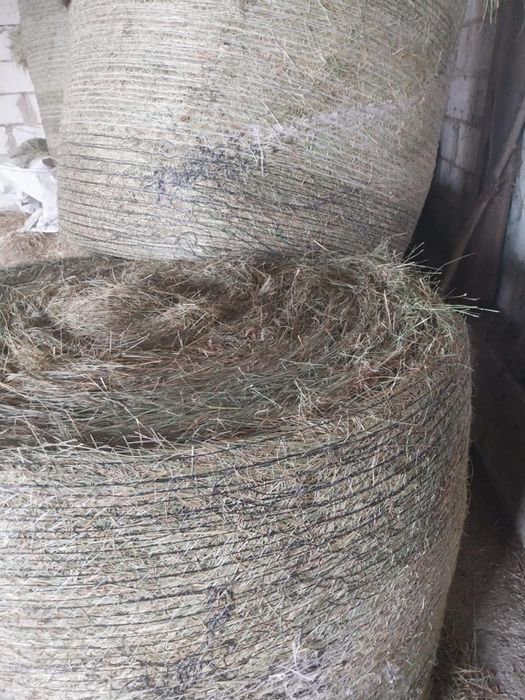 Sprzedam siano dobrej jakości I sianokiszonkę
