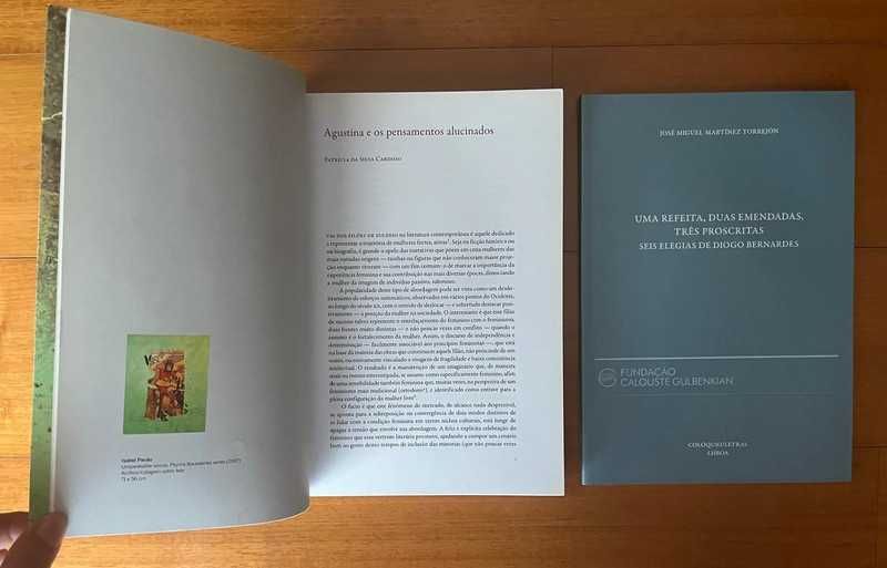 Colóquio Letras N.º 187 de Nuno Júdice