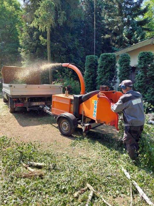 Wycinka drzew, czyszczenie działek, pielęgnacja ogrodów