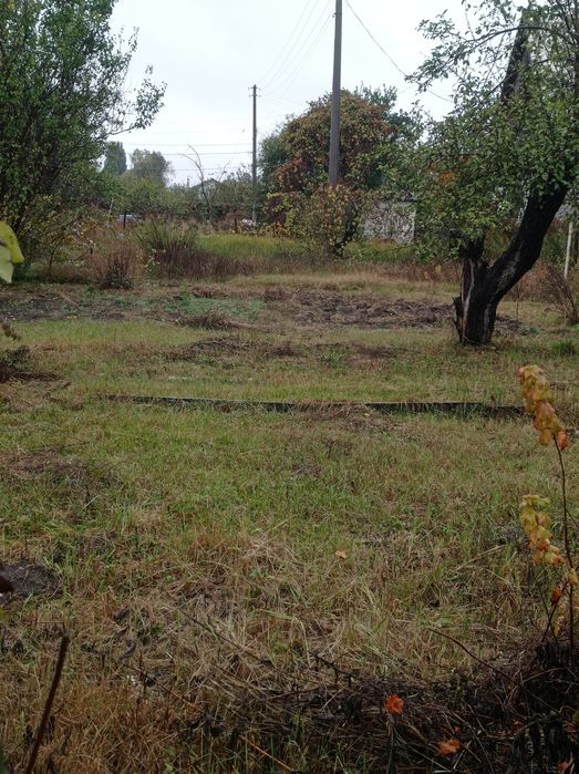 Дача на Ст. Подусовці під лісом. Ідеально для будівництва. 5 соток.