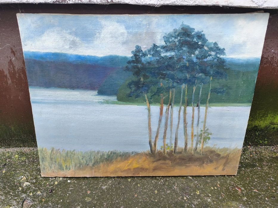 Obraz malowany las/jezioro malowany na płótnie