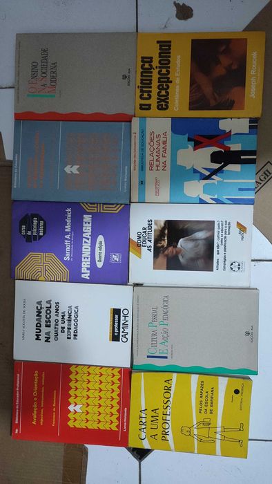 Lote 30 livros sobre Pedagogia