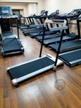 Бігова доріжка EnergyFIT U12 (2кс на 110кг,компактна,складна доріжка)