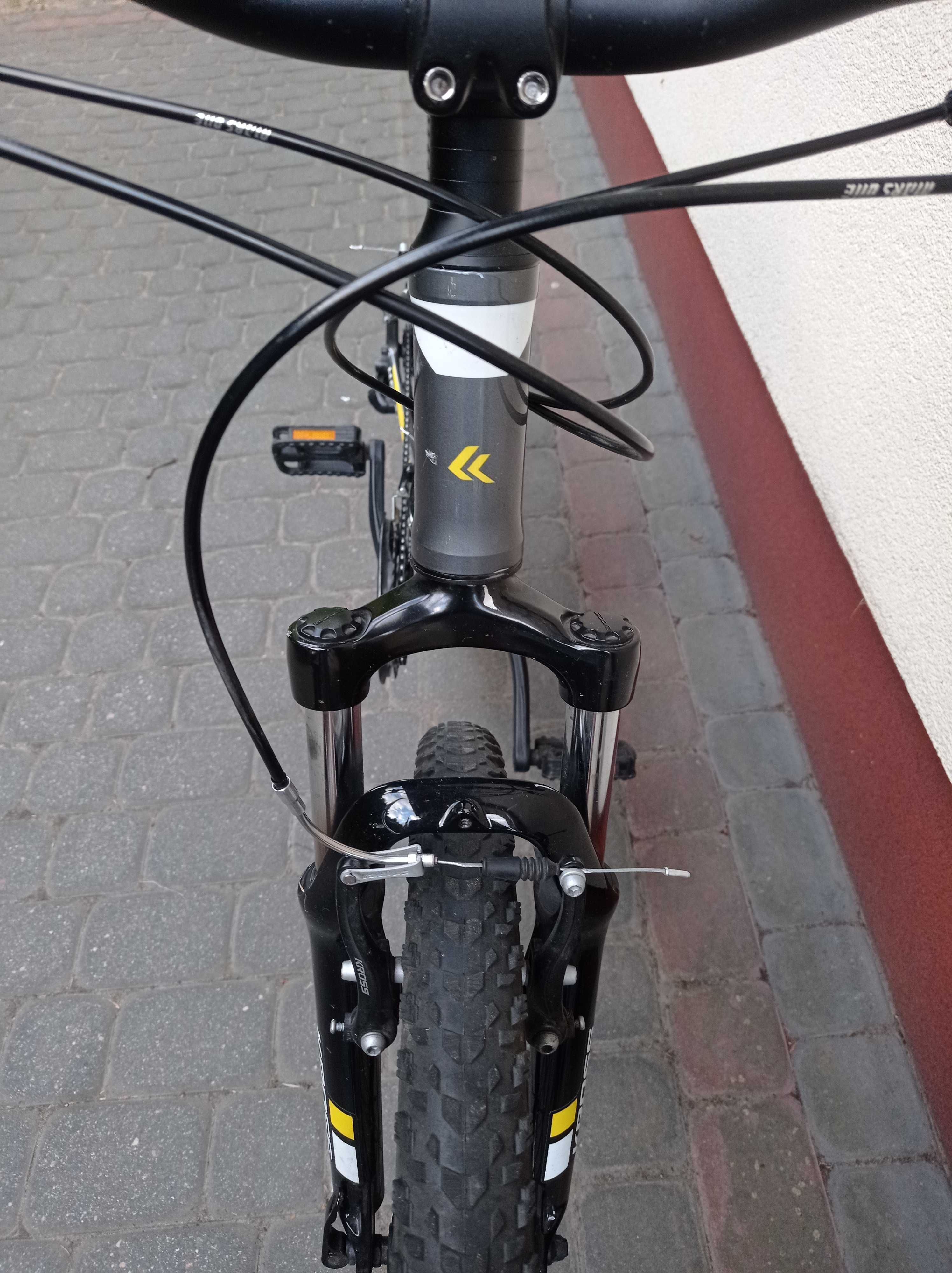 Rower Kross Hexagon 2.0