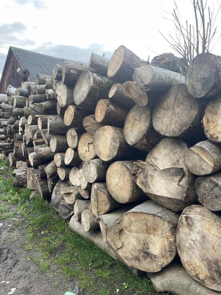 Drewno, opał Buk jesion świerk sosna brzoza Transport