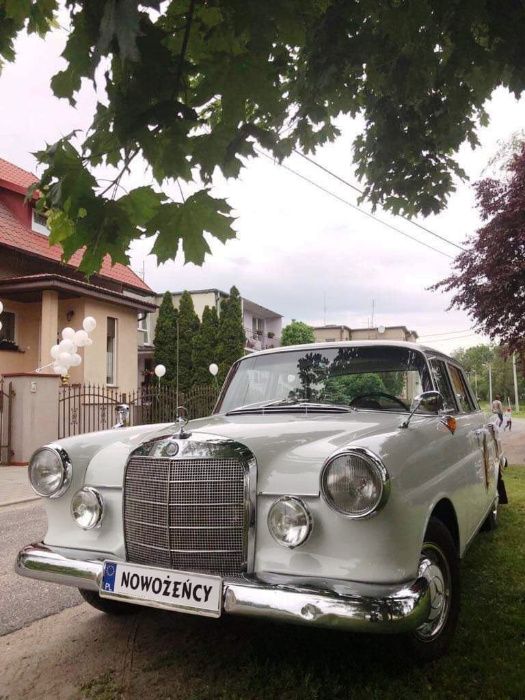Zabytkowy samochód do ślubu piękny Mercedes Skrzydlak klasyk zabytek