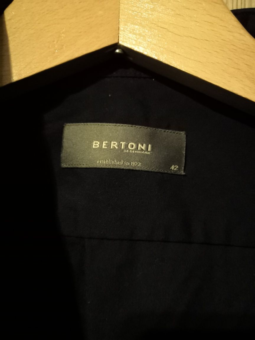 Koszula premium Bertoni wysoka jakość