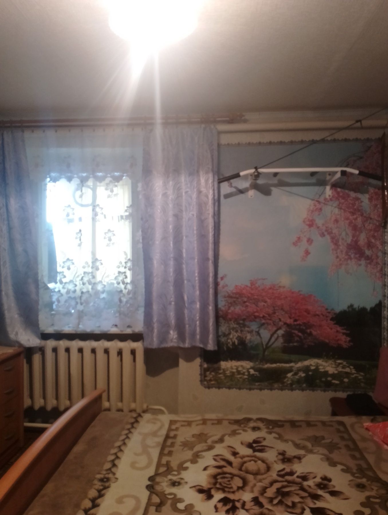 Продаеться будинок в Малой Виске