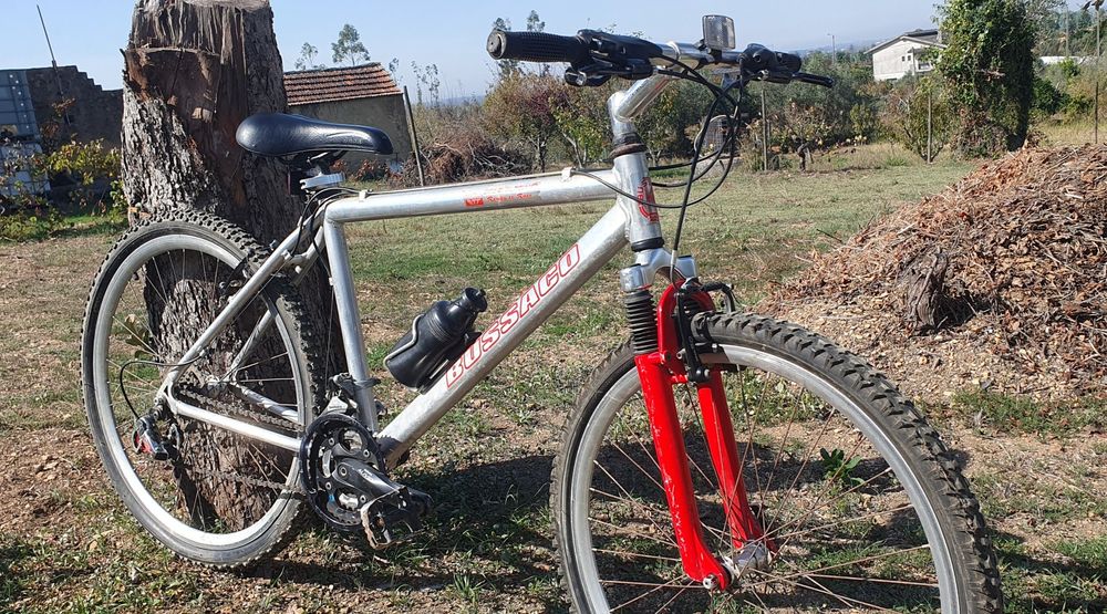 50€ cada bicicleta