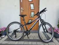 Rower Kross lea 1.0 24"