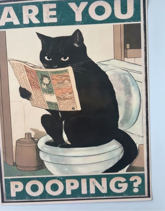 Plakat A3, zabawna ozdoba do łazienki, 30/40 cm