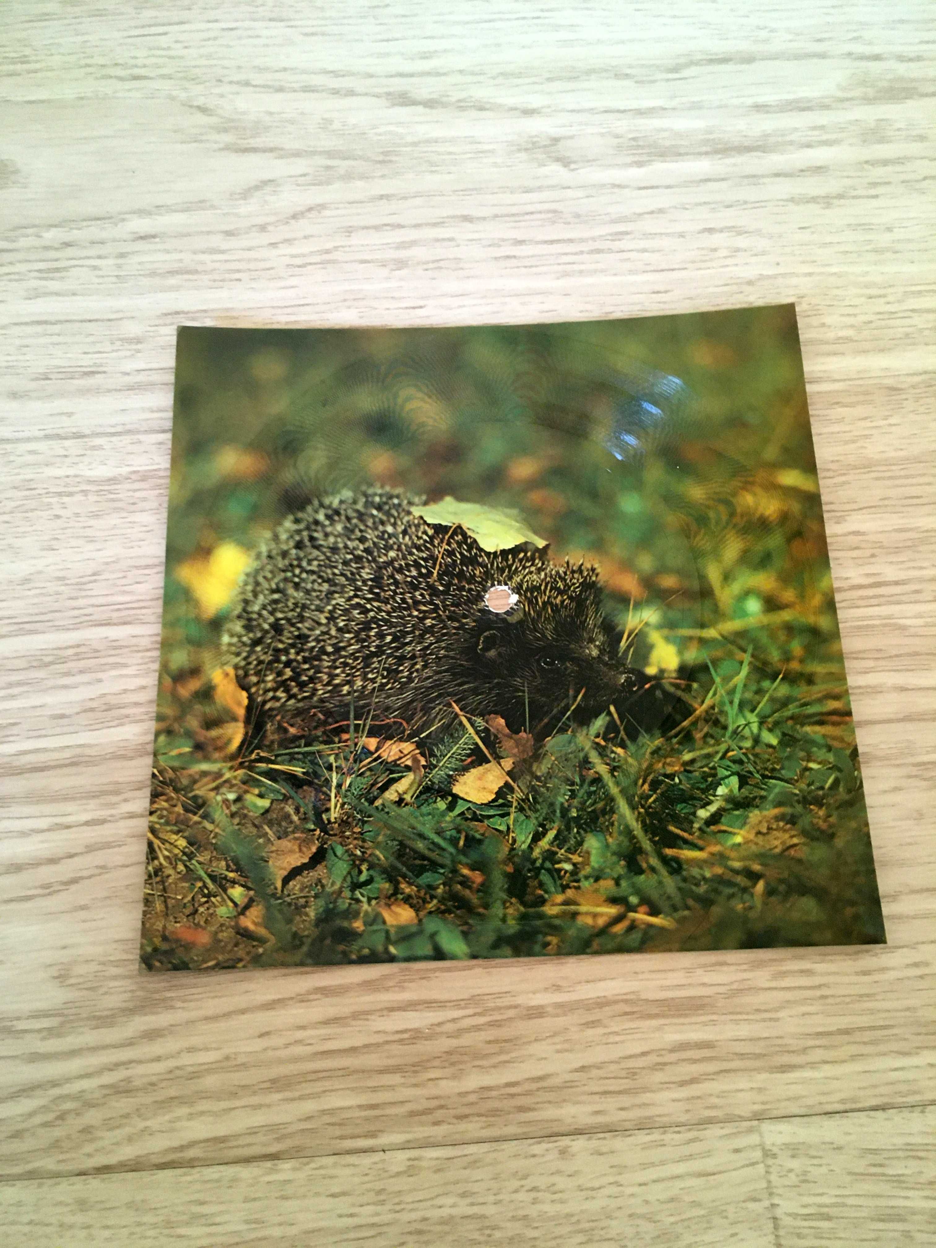 Pocztówka dźwiękowa Drupi - Piccola E Fragile