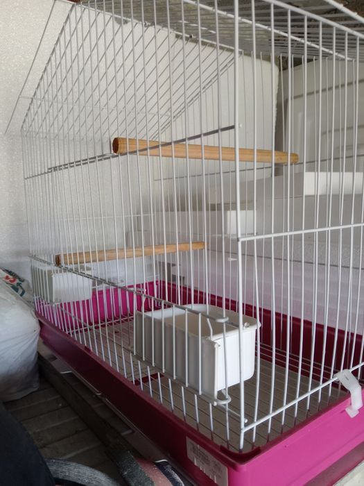 Gaiola nova para melro ou rola