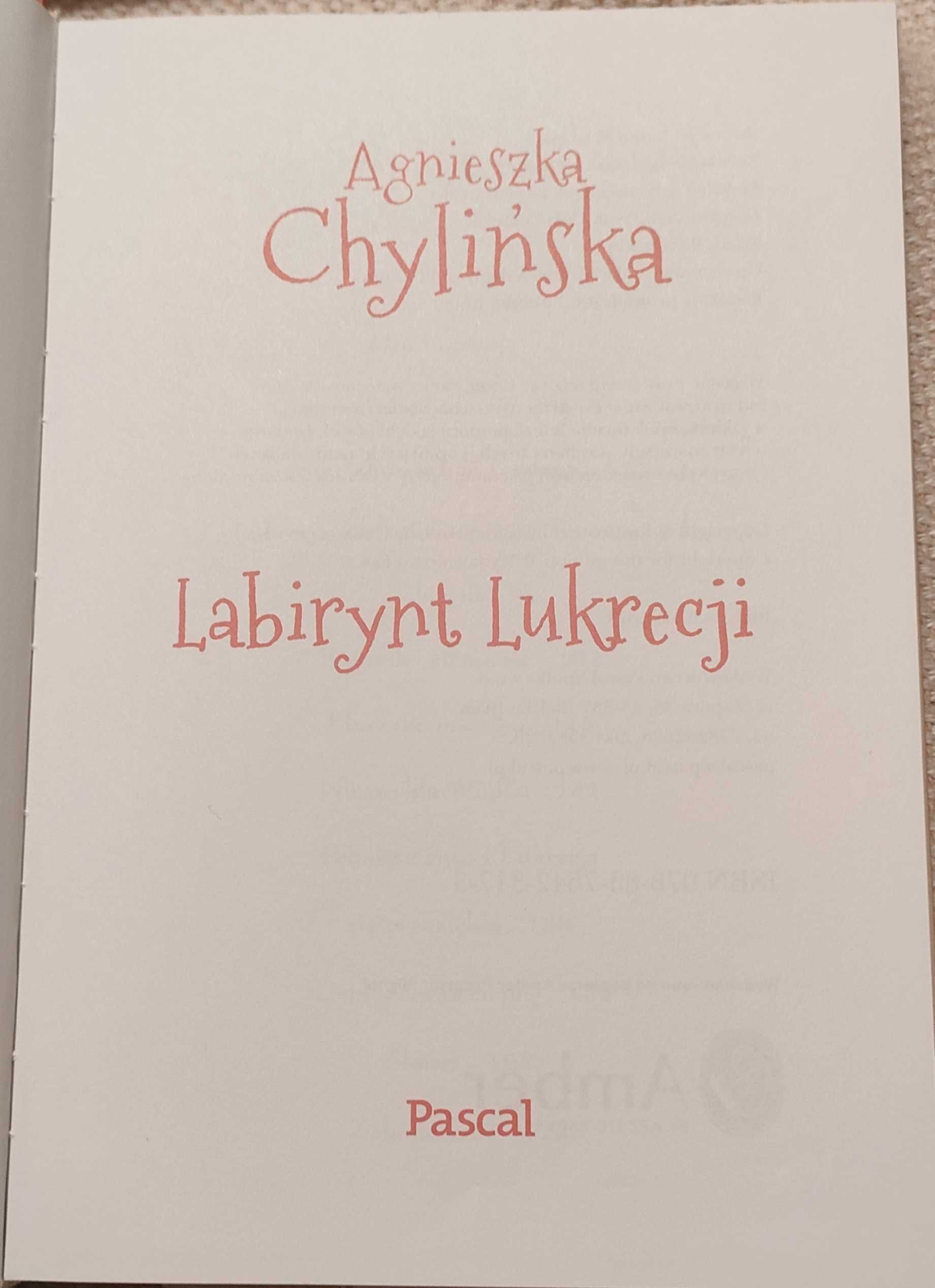 Książka dla dzieci "Labirynt Lukrecji" A. Chylińska