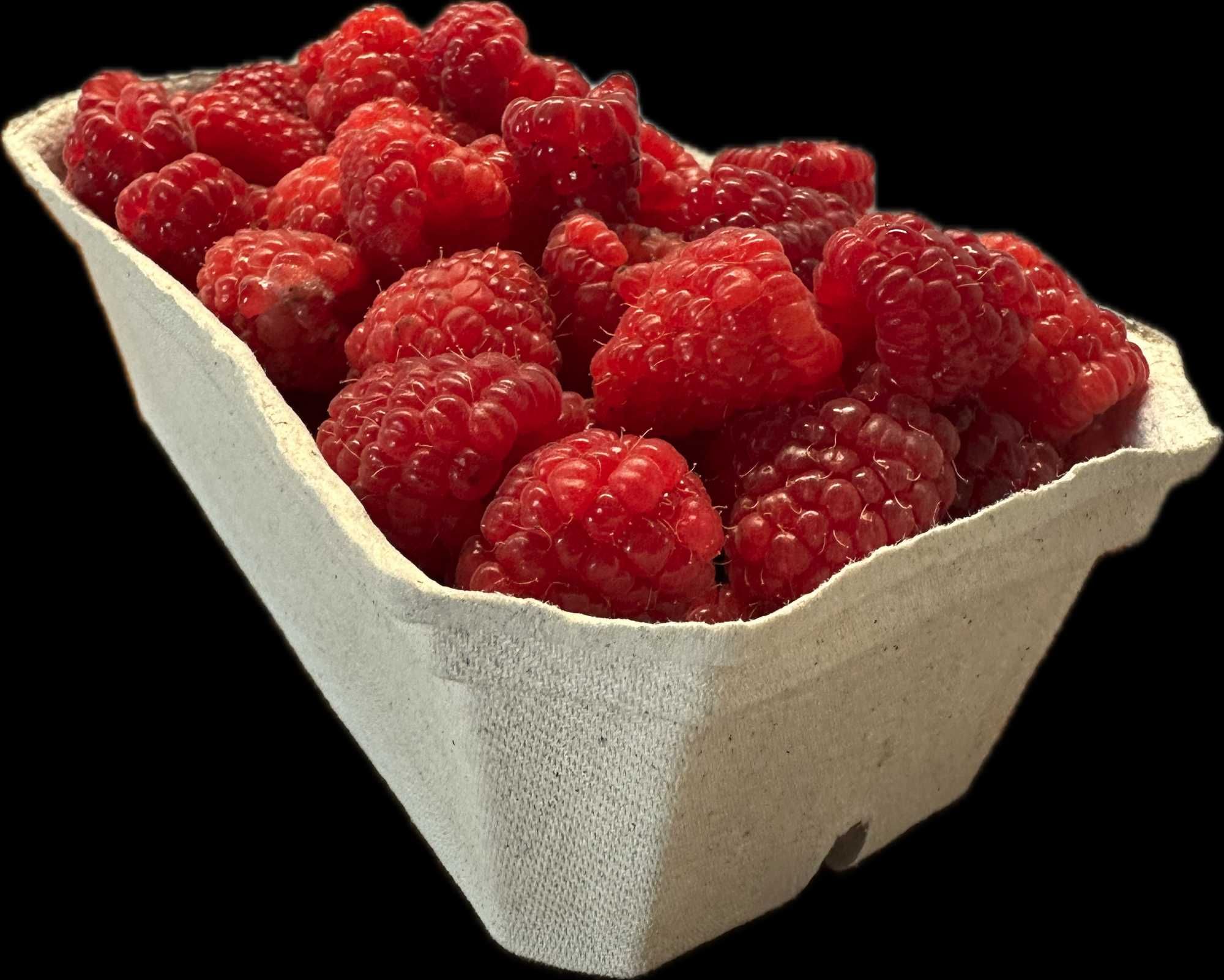 Pojemniki na maliny owoce borówki 200gr- 990szt WYSYŁKA DPD BEZ NADRUK