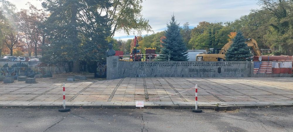 WYCINKA DRZEW/ Odbiór drewna i gałęzi