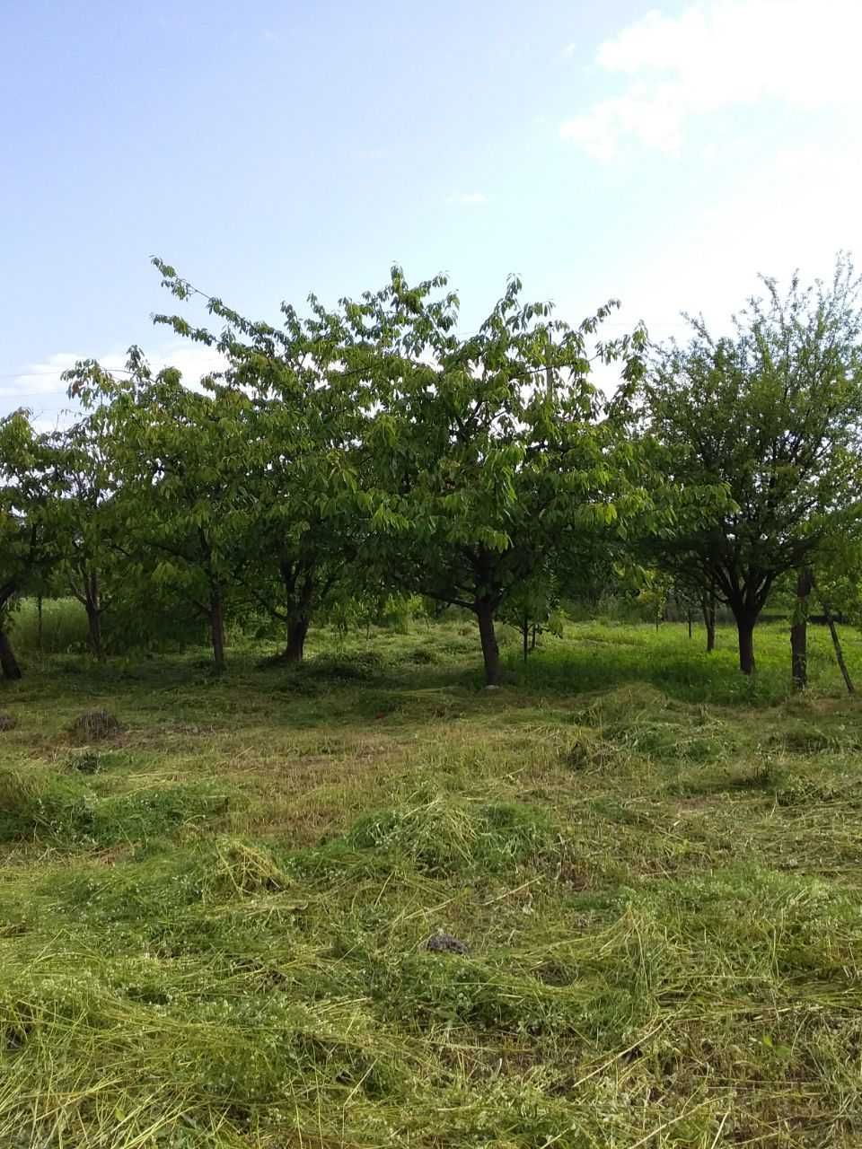 Земельна ділянка