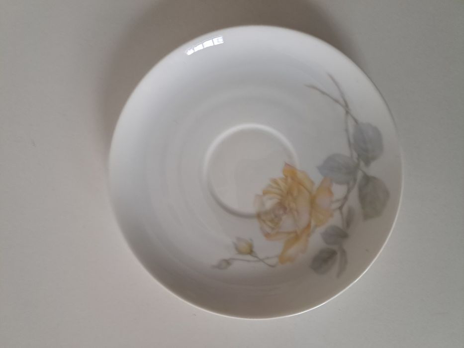 Duo Rosenthal, porcelana, bardzo rzadki wzór Rosenhal  SELB-BAVIA