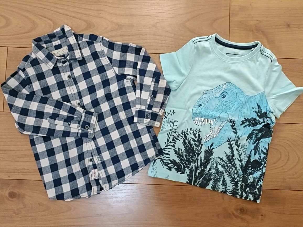 T-shirt Dinossauros  + Camisa Zara  - 5 anos (110 cm)