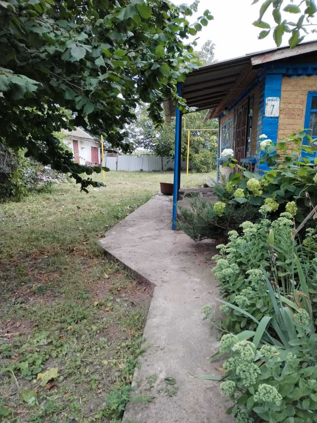 (8) Продається будинок з ділянкою в с. Жабелівка 7440