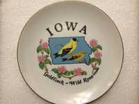 Сувенирная тарелка Айова США, магниты, монеты и подарок.