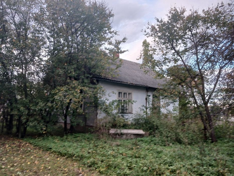 Продається будинок Гірне