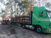 venda de lenha seca