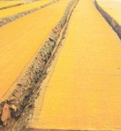 Соснова і вільхова дошка камерної сушки