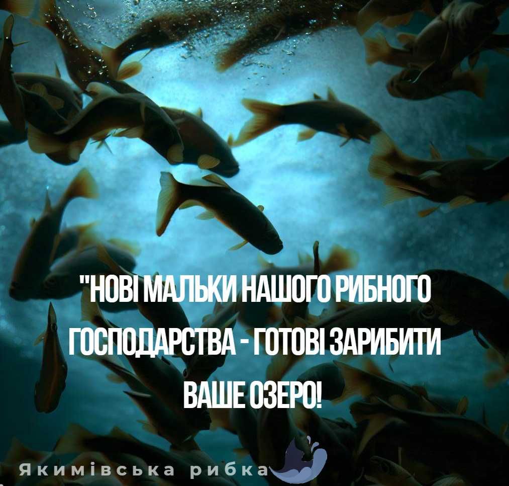 Бронювання малька на осінь для зариблення водойм