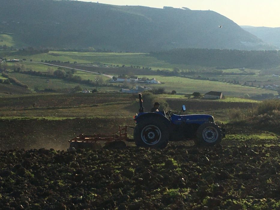 Limpeza de Terreno