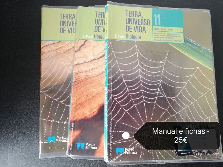 Manuais escolares 11° ano