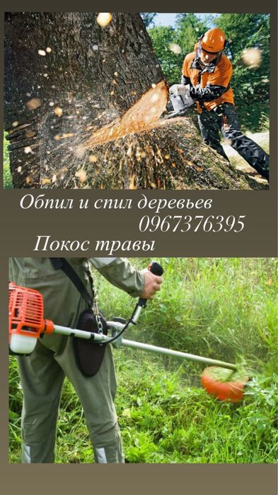 Покос травы,спил деревьев