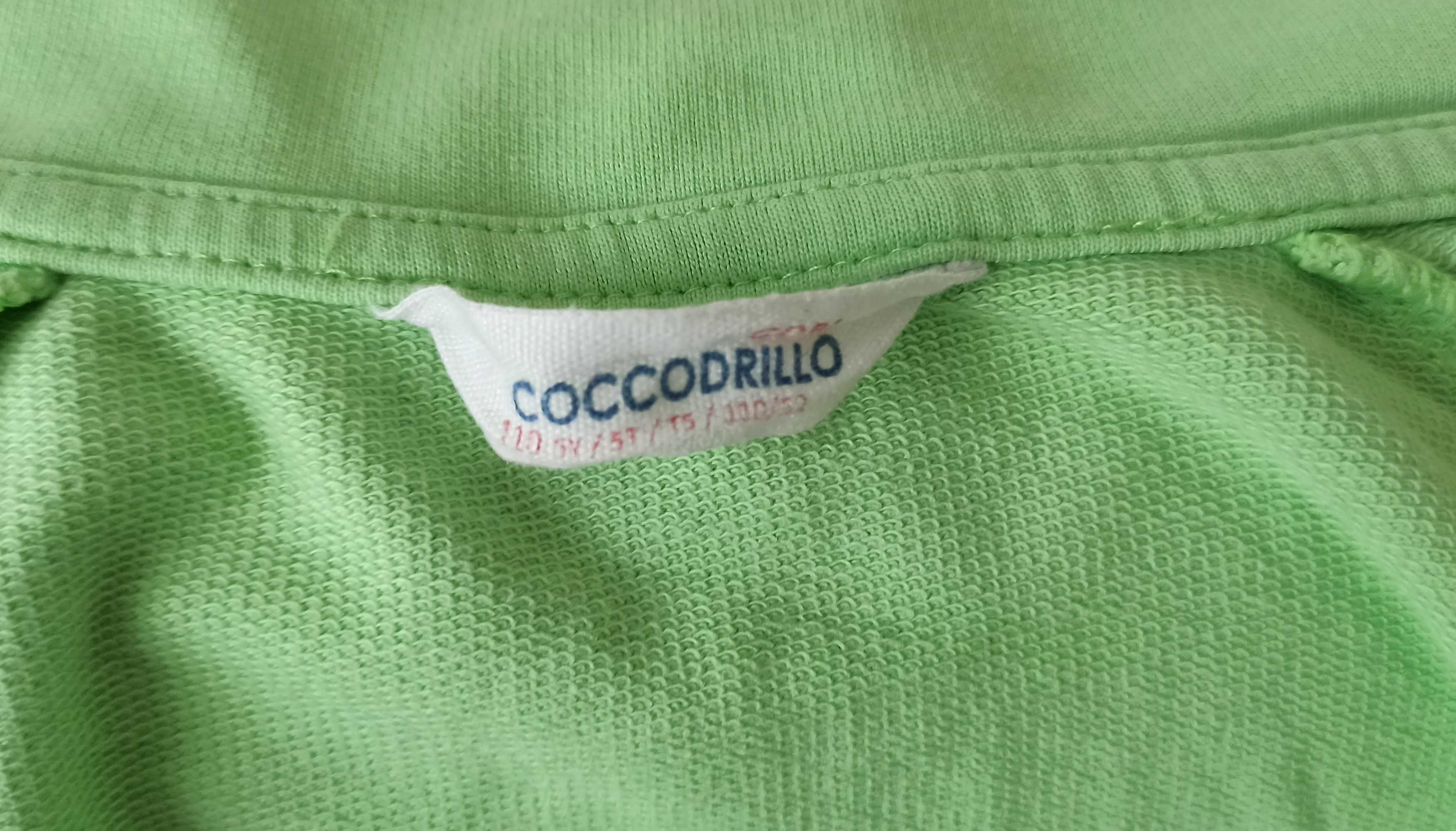 Bluza Coccodrillo 110 2 szt.