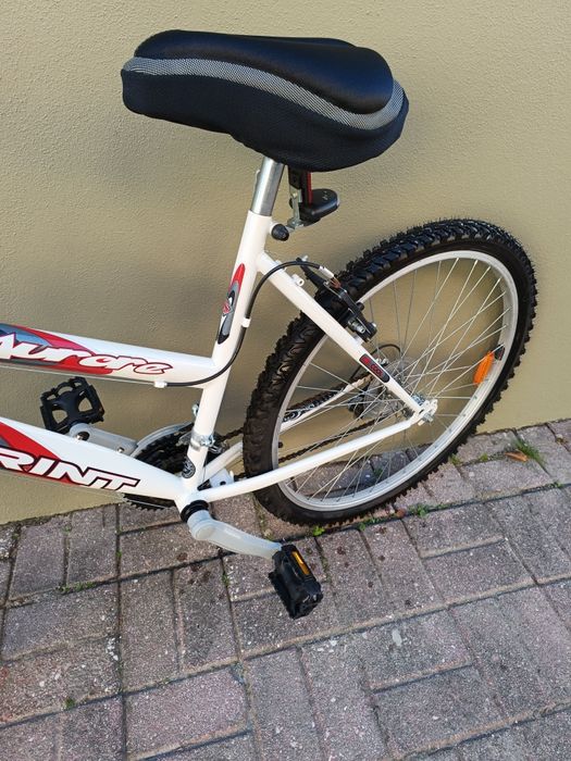 Bicicleta de montanha