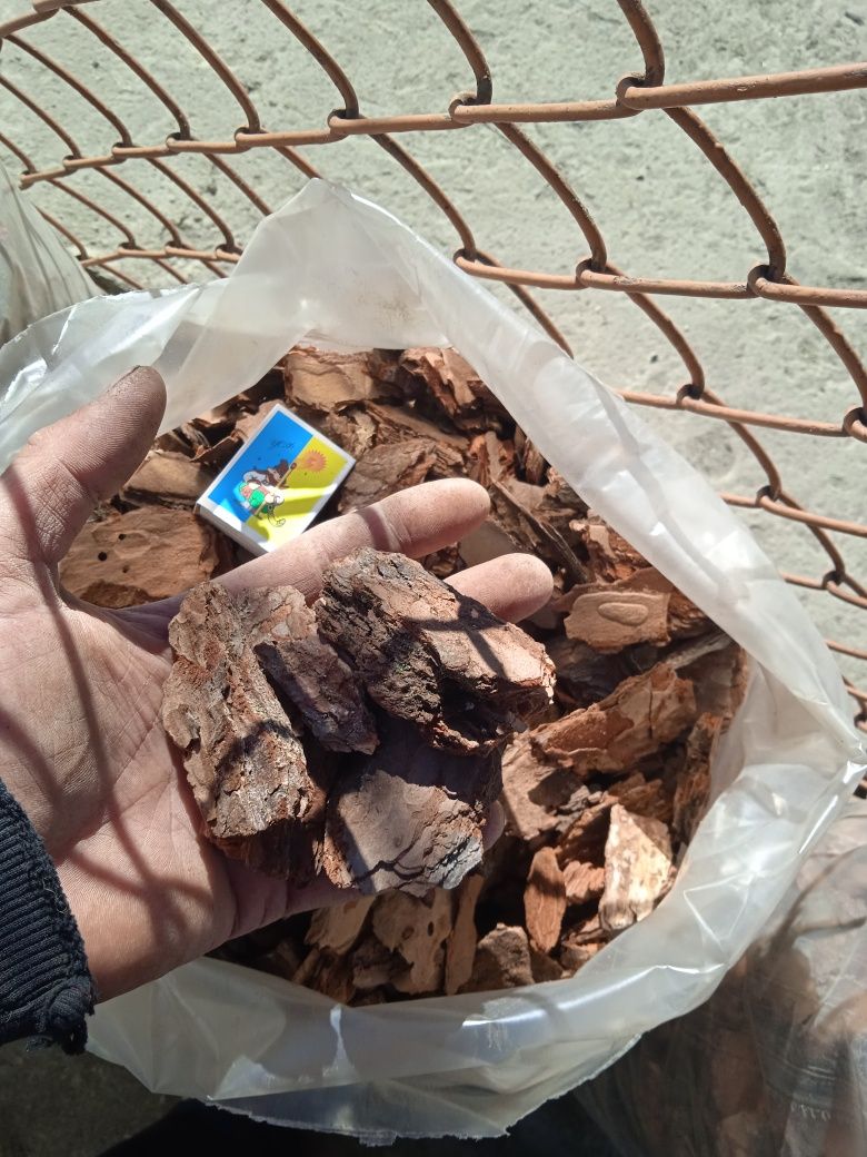 кора соснова  мульча з доставкою