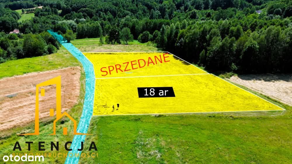 Widokowa Działka Na Sprzedaż WZ-Lubenia