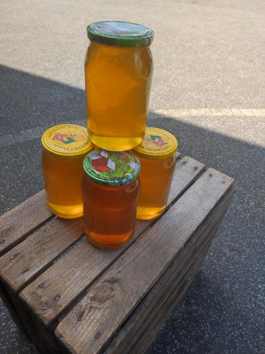 MIÓD LEŚNY z własnej pasieki naturalny orginał